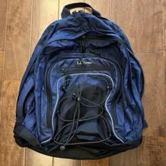 00s 廃盤モデル！エルエルビーン グリーンバックパック 軽量 ナイロン