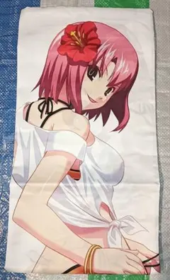 リオパラダイス Rio 抱き枕カバー リオパラ テクモ 水着 Beach 希少