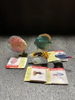 Furuta チョコエッグ魚 フィギュアセット 4体　ディスカス　グッピー