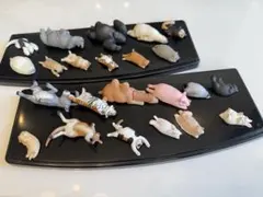 ZooZooZoo ガチャ 、35体セット まとめ売り パンダの穴