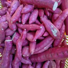 3Sサイズ B品訳あり 約５kg入り 鳴門金時 さつまいも 全国送料無料