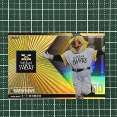 Item thumbnail for item 70aa2fa7-aef5-4d33-8c2a-591bf22630c2