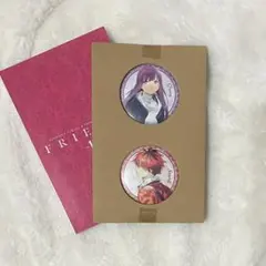 葬送のフリーレン 10巻特装版 描き下ろし 缶バッジ フェルン シュタルク