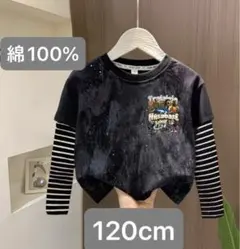 イタリアンブレインロット ロンt