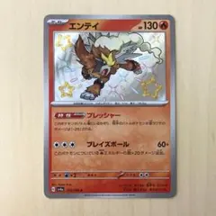 エンテイ　スター　美品 21LQ5lgakVL.jpg_BO30,255,255,