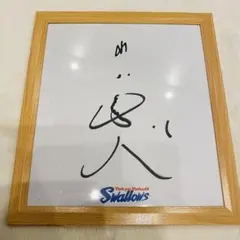 東京ヤクルトスワローズ 山田哲人　サイン色紙　額付