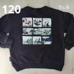 Item thumbnail for item 4641a8f9-042a-40ab-8f05-dcfe31337512