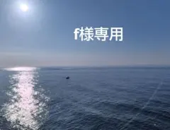 f様専用です
