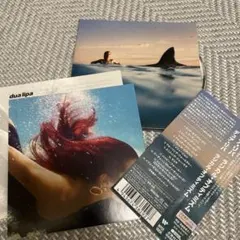 国内盤　ラジカル・オプティミズム/デュア・リバ