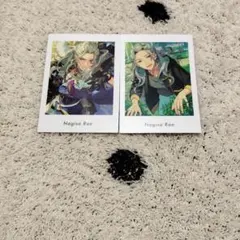 あんスタ　あんさんぶるスターズ　乱凪砂　ぱしゃっつ