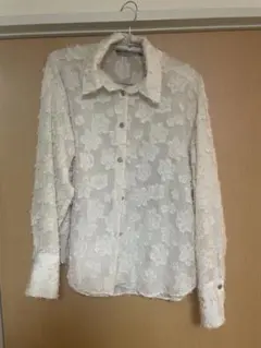 ZARA シースルーシャツのサムネイル