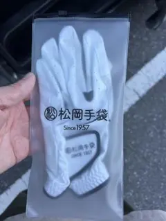 ゴルフ手袋 メンズウェア