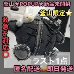 BTS ARIRANG POPUP BUSAN アミボム 釜山限定 キーリング - メルカリ