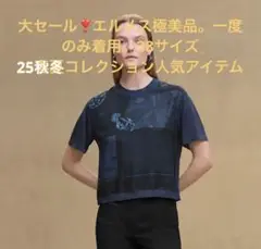 2025年最新】エルメスツイルレーヌの人気アイテム - メルカリ