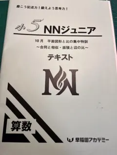 早稲田アカデミー　小5 NNジュニア　10月 平面図形と比の集中特訓等