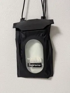 Item thumbnail for item ba556b36-6ada-4a8c-a4f8-0d362c8b067b