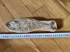 魚の化石 共箱付き | Mercari
