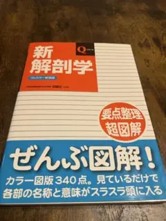 新解剖学 カラー図版340点