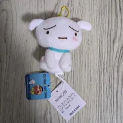 クレヨンしんちゃん　シロ　ぬいぐるみ　圧縮発送