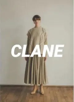 CLANE 3D cable slit knit vest - メルカリ