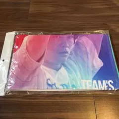 アイリッシュグリーン様 リクエスト 2点 まとめ商品