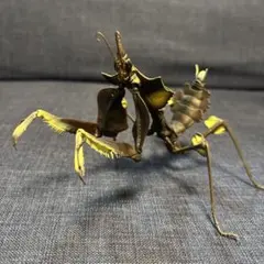 Item thumbnail for item 969231d3-bcc7-4071-b2be-9ef514d55094