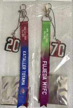 北海道コンサドーレ札幌　ボンフィン