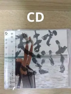 中村中 天までとどけ CD