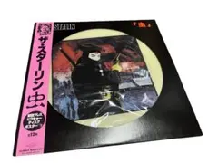 再生確認済 ザ・スターリン 虫 レコード 初回プレス ピクチャーディスク