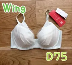 Item thumbnail for item 4252fd0c-9524-4faa-babb-6e4874a4dbcc