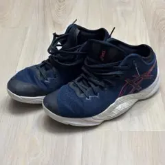 asics バスケットボールシューズ アンプレアルス
