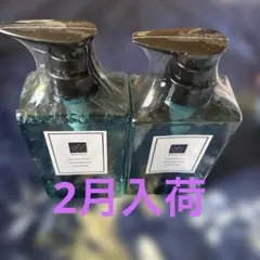2026年最新】クオリア シャンプーの人気アイテム - メルカリ