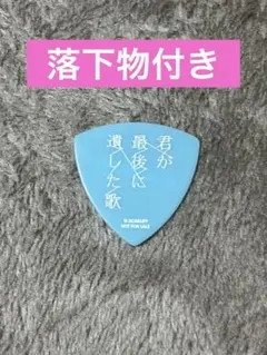 映画 君が最後に遺した歌 ギター ピック