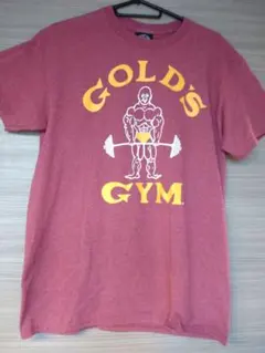 GOLD'S GYM ボディビルダー Tシャツ Mサイズ
