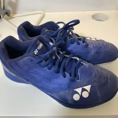 2026年最新】エアラスZワイドの人気アイテム - メルカリ