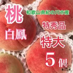桃(日川)秀品　特大5個 60サイズ箱入り　２箱 桃(日川)秀品 特大5個 60サイズ箱入り - メルカリ