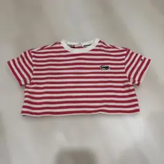 TOMMY HILFIGER ベビー　80 ボーダー 半袖