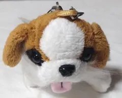 Item thumbnail for item ab88b2a5-afc7-4aca-91d4-0f1808a319ad