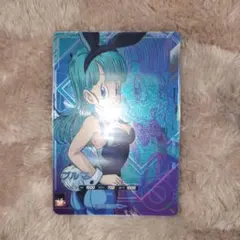 SDV5-LPUR1 ブルマ