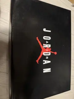 AIR JORDAN 11 RETRO LOW 26.5cm