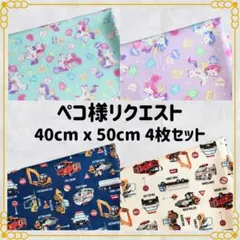 【ペコ様リクエスト】ランチョンマット 給食ナフキン ４枚セット