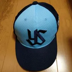 2025年最新】東京ヤクルトスワローズ ファンクラブの人気アイテム