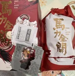 POPMART Have a good Run 馬力全開 モリー