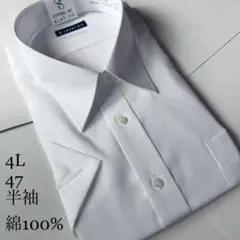 半袖ワイシャツ★4Lサイズ47★ノーマルタイプ★綿100%超形状安定ノーアイロン