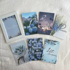 Item thumbnail for item b5bed1f4-8193-4e42-816b-4ca94a5fe087