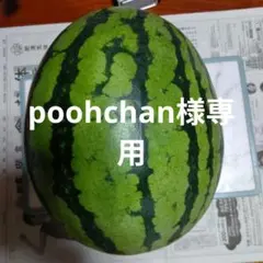 poohchan様専用 縞模様のスイカのサムネイル