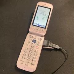 Docomo Raku-Raku Phone F-01G Mobile Phone (Feature Phone)