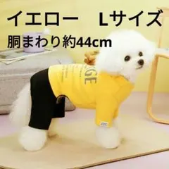 犬服 猫服 小型犬 中型犬 お散歩お出かけウェア Lサイズ 胴まわり44cmのサムネイル