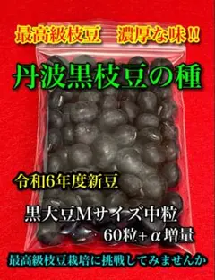 てぃーくん様 リクエスト 4点 まとめ商品