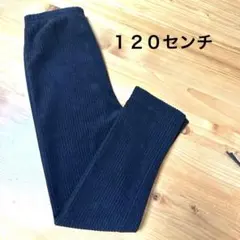 しまむら 120
